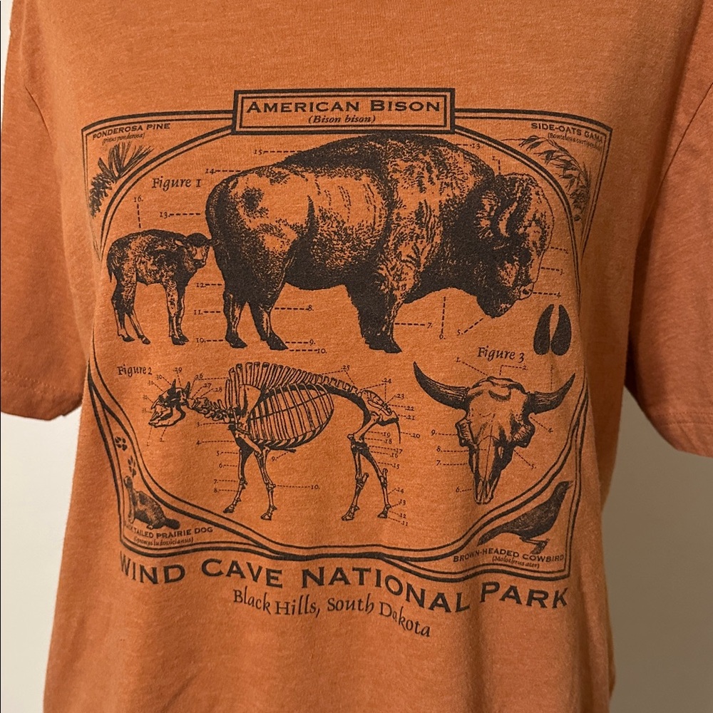 Bison Nation Park Graphic Tee - Picture 2 of 4